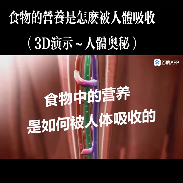 食物中的营养是如何被人体吸收的？